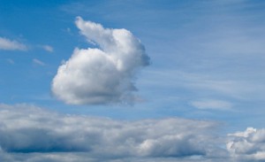 Nuvola a forma di coniglio