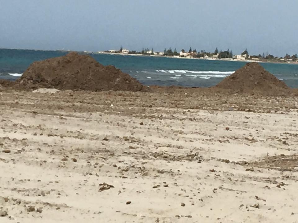 Trapani Proseguono I Lavori Di Pulizia Delle Spiagge Di Mazara Sicilians