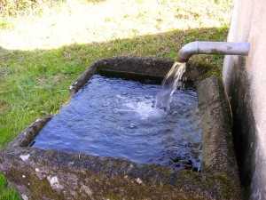water-trough-338382_640