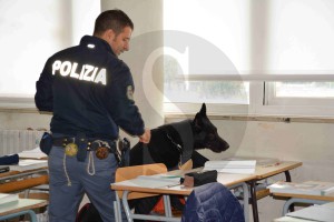 Polizia Ragusa Cane scuola