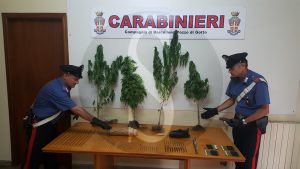 droga carabinieri Barcellona Sicilians