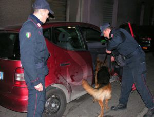 Carabinieri cani droga notte Sicilians