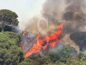 Messina Incendio1 Sicilians