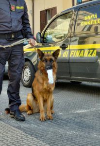 Messina droga cane Guardia di Finanza Sicilians