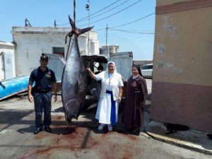 tonno pesca frodo sicilians