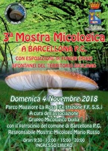 Barcellona funghi sicilians